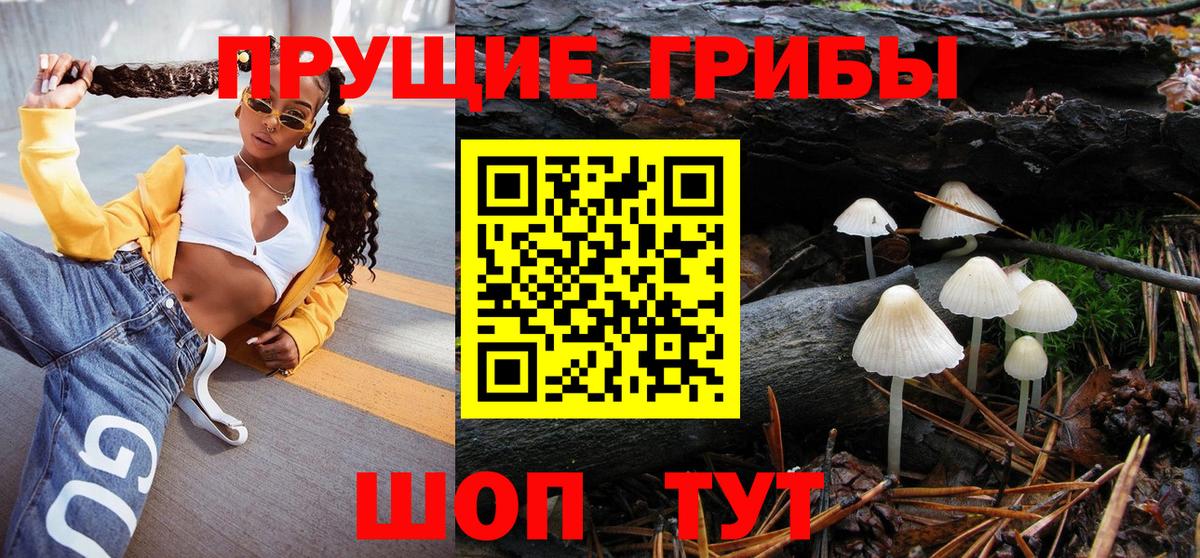 Псилоцибиновые грибы Psilocybine cubensis  Вход с VPN  Тимашёвск 